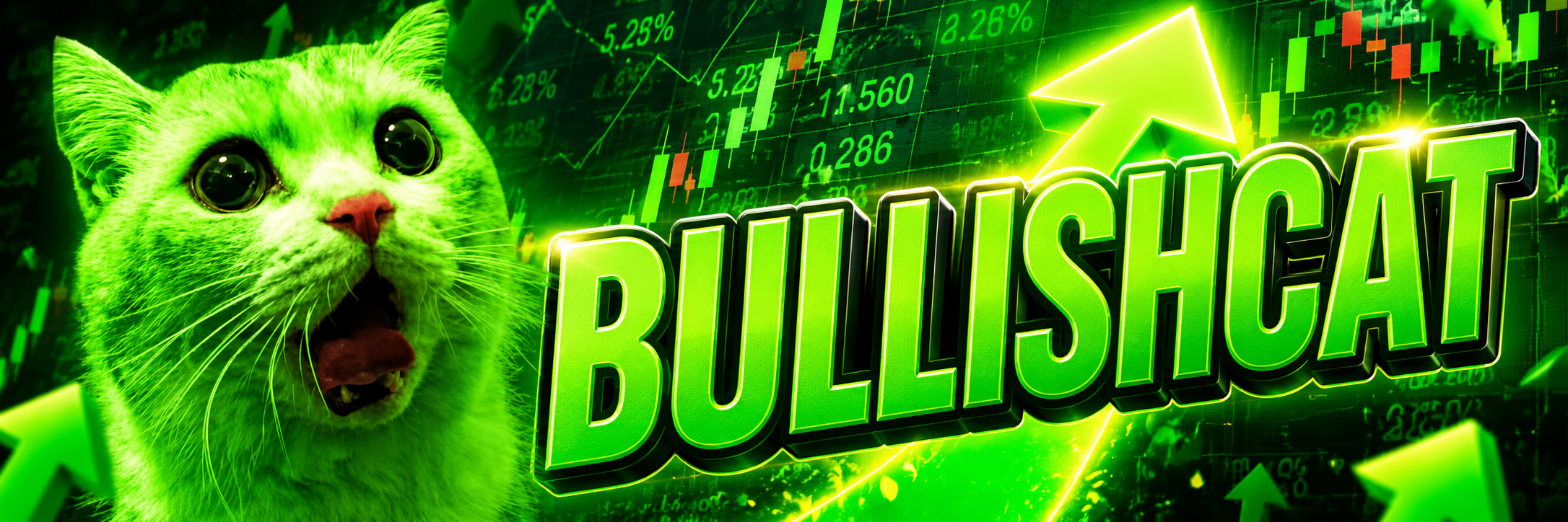 BullishCat at his trading setup